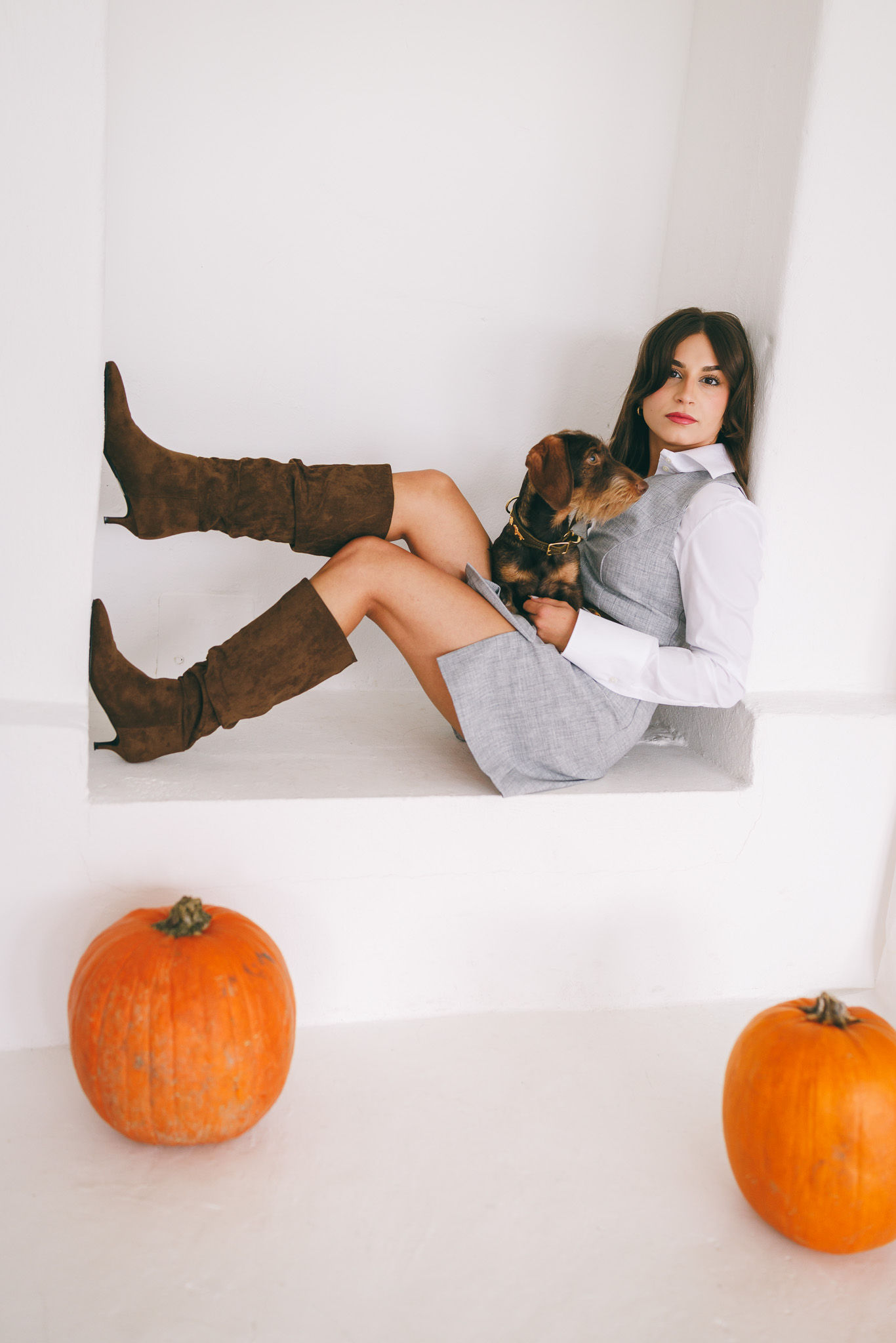 Tierfotografie Innsbruck – professionelle Tierportraits