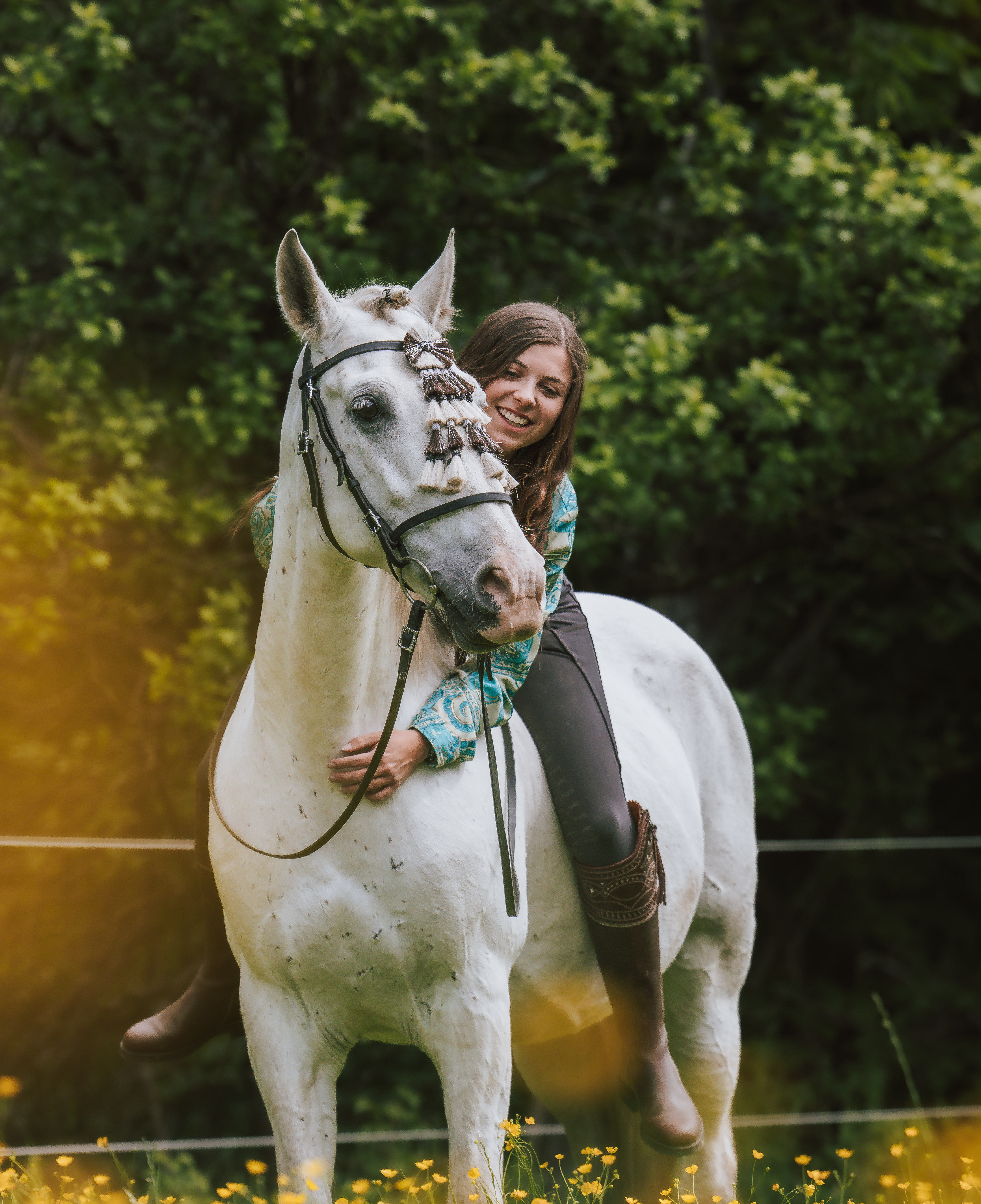 Tierportrait Tirol – Mario Schubert Fotografie