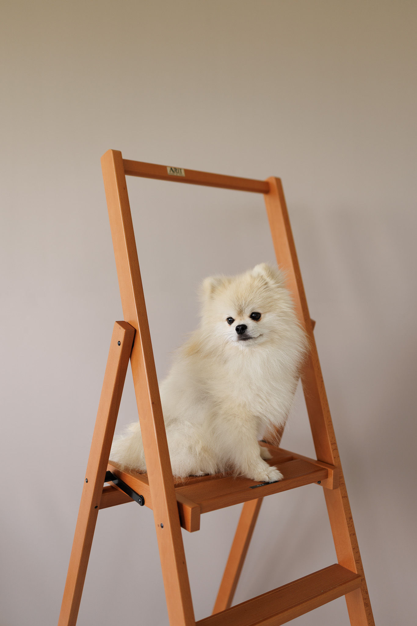 Professionelle Tierfotografie – Mario Schubert